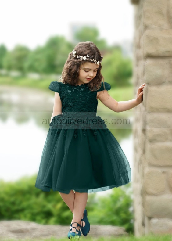 Cap Sleeves Lace Tulle Keyhole Back Fancy Flower Girl Dress